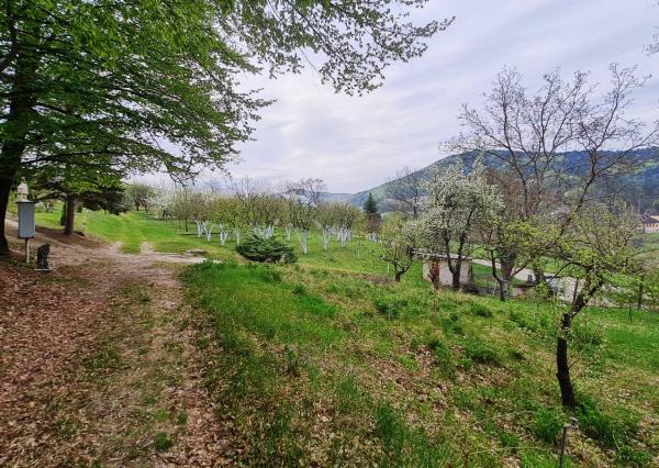 *REZERVOVANÉ* Stavebný pozemok 607 m2, Hôrka nad Váhom