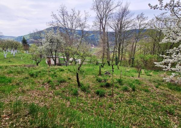 *REZERVOVANÉ* Stavebný pozemok 607 m2, Hôrka nad Váhom