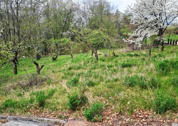 *REZERVOVANÉ* Stavebný pozemok 607 m2, Hôrka nad Váhom