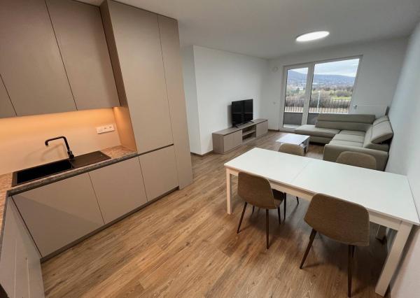 Kúpim 1 izbový byt V Piešťanoch.