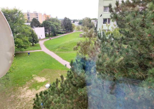 Prenájom 3-izbového bytu, Javorová Piešťany