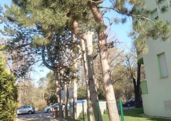 Opäť v ponuke...Prenájom 2-izbový byt, blízke centrum-Piešťany 