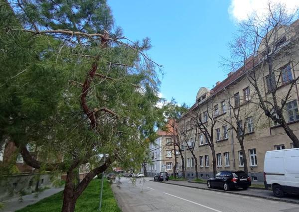 REZERVOVANÉ! Výnimočný byt / výnimočná lokalita /85m2/ Staré Mesto