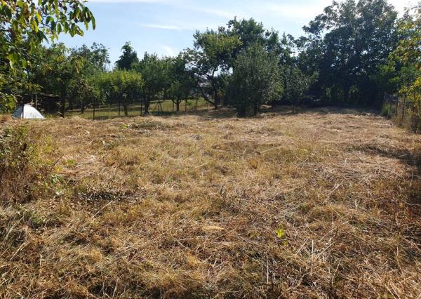 Investičný pozemok 