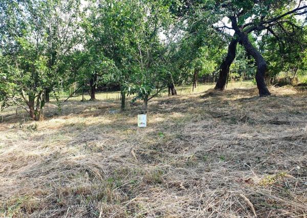 Investičný pozemok 