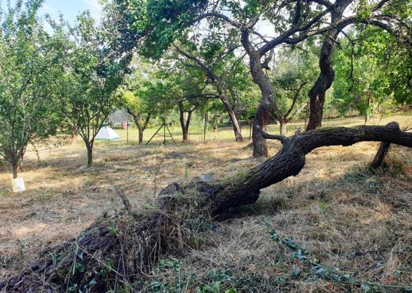 Investičný pozemok 