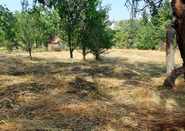 Investičný pozemok 