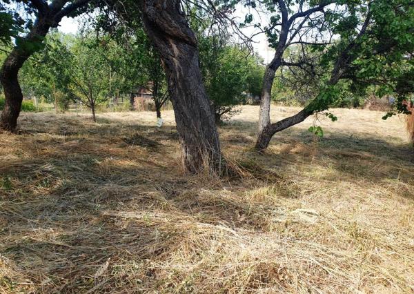 Investičný pozemok 