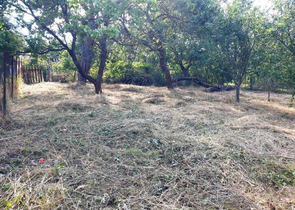 Investičný pozemok 