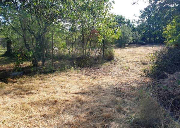 Investičný pozemok 