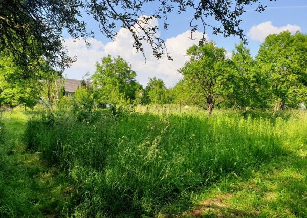 Historická chalupa 110 m2 po rekonštrukcií - Lubina, časť Hrnčiarové