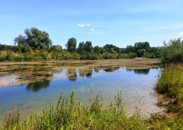 Rekreačný pozemok s troma jazerami o výmere 10ha - Zelená Voda, Beckov