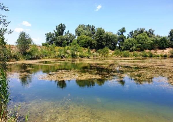 Rekreačný pozemok s troma jazerami o výmere 10ha - Zelená Voda, Beckov