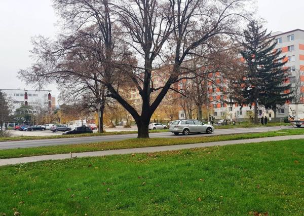 *REZERVOVANÉ* ŠTVORIZBOVÝ BYT 82 M2, PIEŠŤANY, TEPLICKÁ