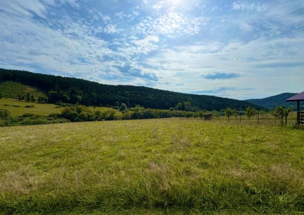 POZEMOK NA PREDAJ - PAPRADNO