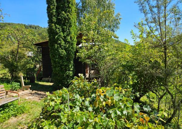 Záhrada v kúpeľnom meste Trenčianske Teplice 