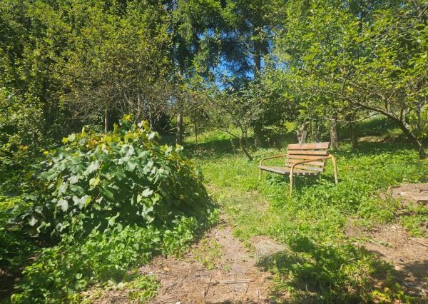 Záhrada v kúpeľnom meste Trenčianske Teplice 