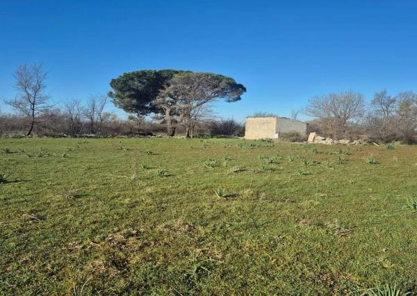 Chorvátsko – Investícia pri Jadrane-stavebný pozemok 1300m2 pri Zadare