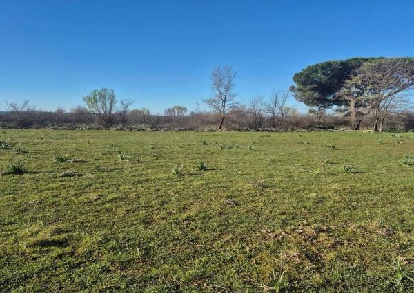 Chorvátsko – Investícia pri Jadrane-stavebný pozemok 1300m2 pri Zadare