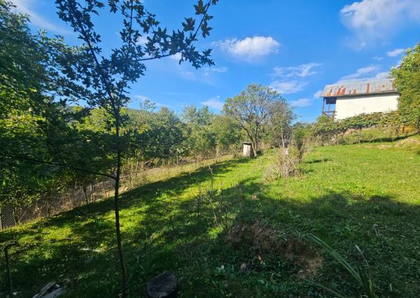 Predaj záhrady, Trenčín