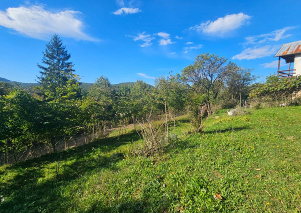 Predaj záhrady, Trenčín