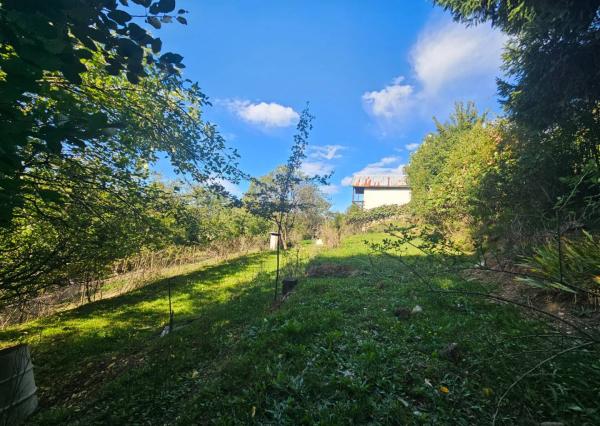 Predaj záhrady, Trenčín