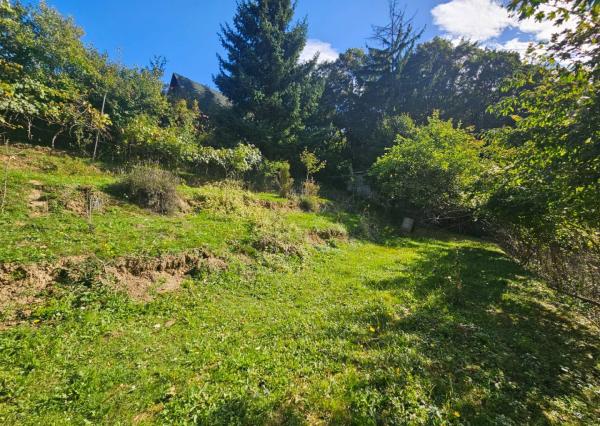 Predaj záhrady, Trenčín