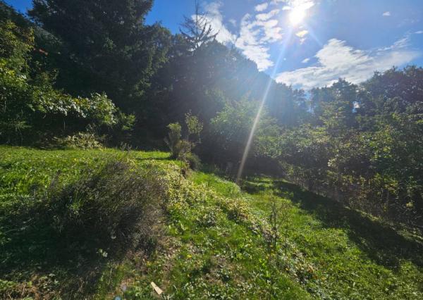 Predaj záhrady, Trenčín