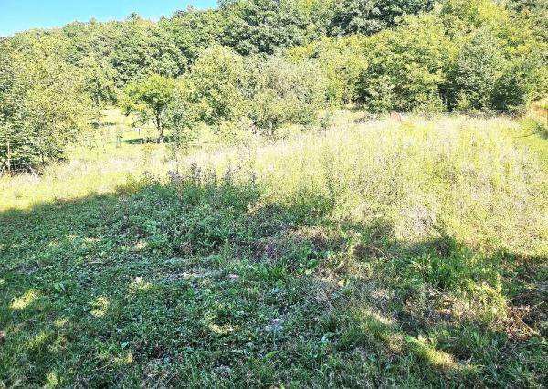 2-IZBOVÝ RODINNÝ DOM -DUBNIČKA- SO ZÁHRADNÝM DOMĆEKOM/ 2518 M2 POZEMOK