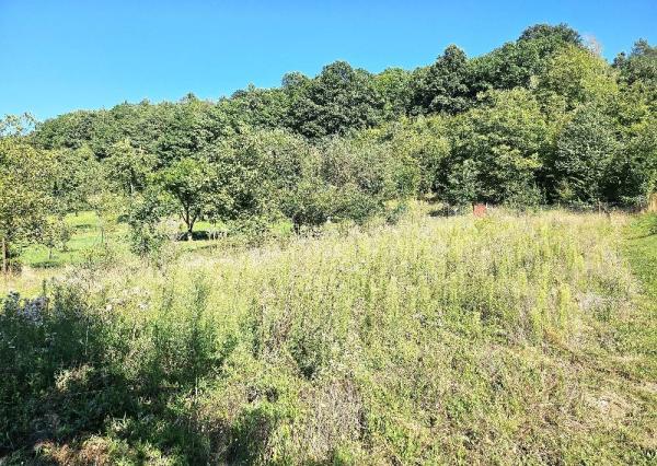 2-IZBOVÝ RODINNÝ DOM -DUBNIČKA- SO ZÁHRADNÝM DOMĆEKOM/ 2518 M2 POZEMOK