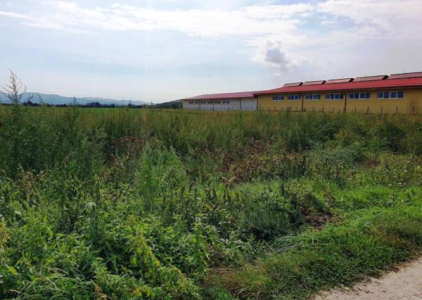 Investičný pozemok o výmere 17 261 m2 - len 3 km od Nového Mesta n/V