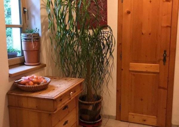 Rodinný dom 5+1 s dvojgarážou a pozemkom 2771 m², okres Domažlice (ČR)