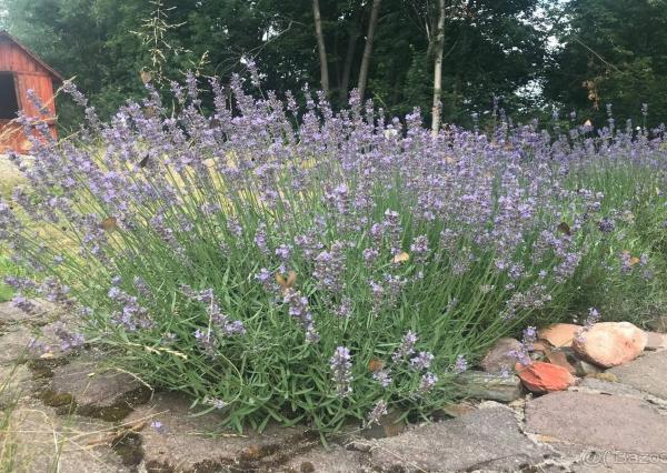 Rodinný dom 5+1 s dvojgarážou a pozemkom 2771 m², okres Domažlice (ČR)