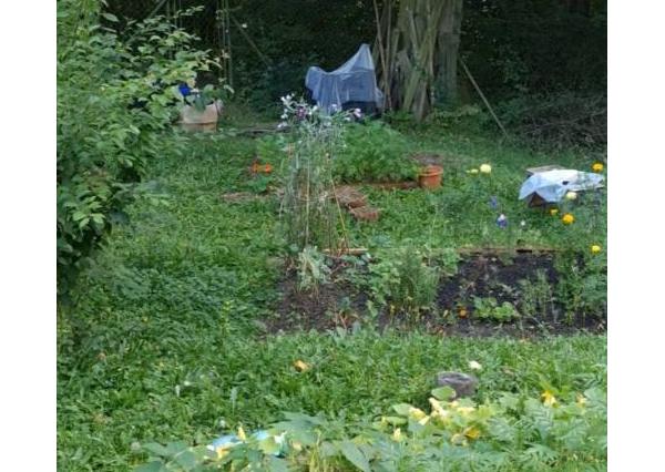 Predaj záhrady, Sady pod Dedovcom, Žliabok , Trenčianske Teplice 