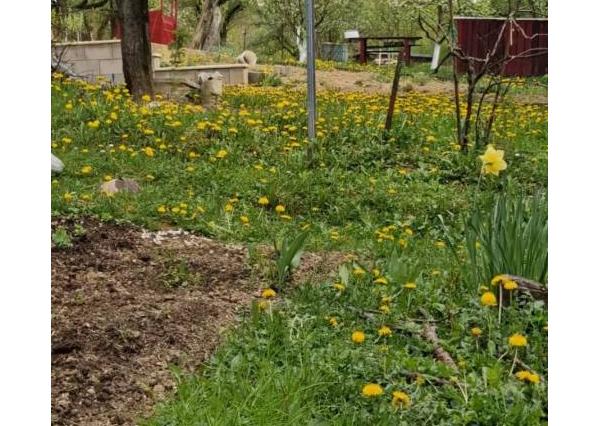 Predaj záhrady, Sady pod Dedovcom, Žliabok , Trenčianske Teplice 