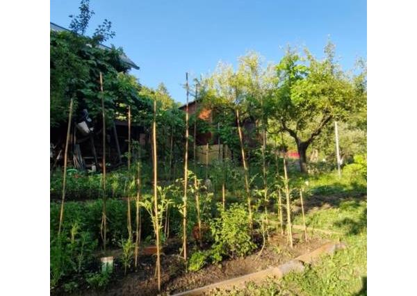 Predaj záhrady, Sady pod Dedovcom, Žliabok , Trenčianske Teplice 