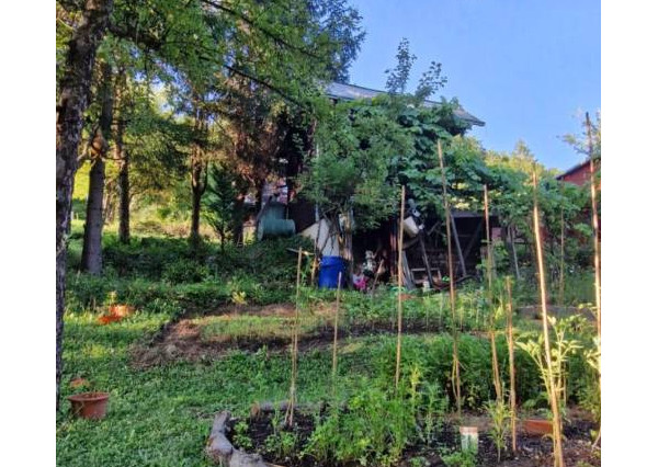 Predaj záhrady, Sady pod Dedovcom, Žliabok , Trenčianske Teplice 