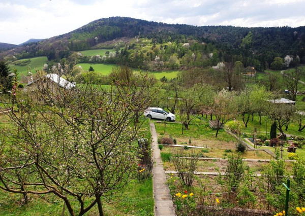 Záhradná murovaná chata s pozemkom 554 m2 - Hôrka n/V, NMnV