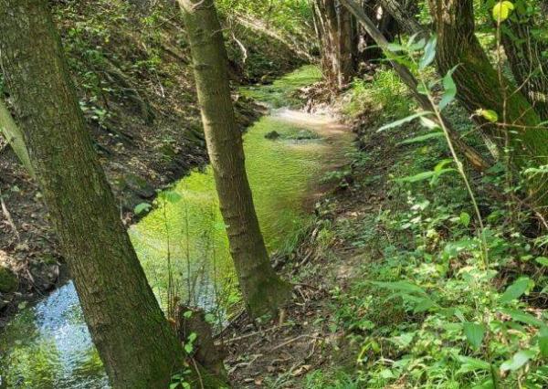 SKVELÁ CENA! NOVOSTAVBA 100 M2 BUNGALOV 4+1 *TYP 1* S POTOKOM, PRAŠNÍK