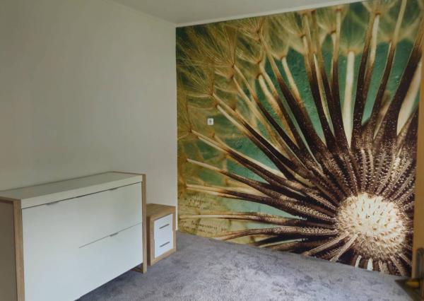 3 izbový dom v obci Lednica -Prenájom 