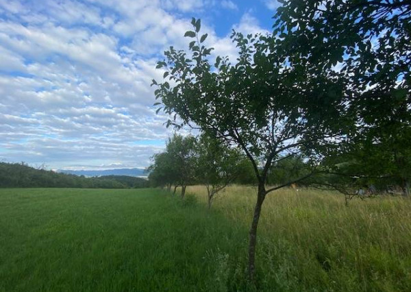 Pozemok s krásnym výhľadom - 3260 m2 - Slávnica (Tlstá hora)