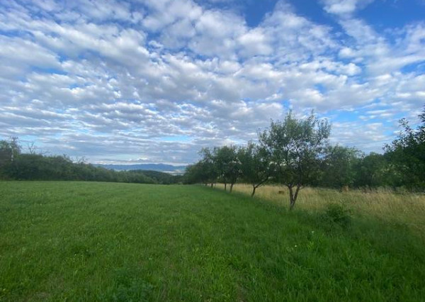 Pozemok s krásnym výhľadom - 3260 m2 - Slávnica (Tlstá hora)