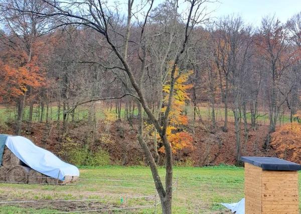 Investičná príležitosť-historický  mlyn v rekonštrukcii, Podkylava