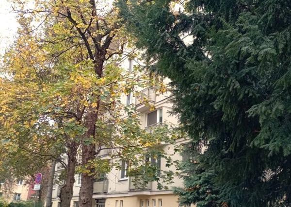 REZERVOVANÉ Veľký 3 izbový byt 74 m2 v blízkosti parku, Nitra 