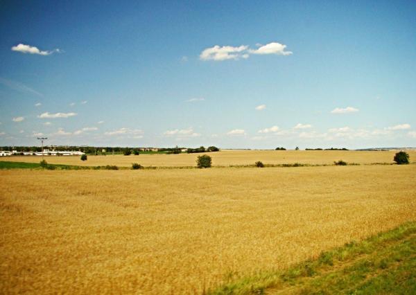 Na predaj orná pôda, 13.954 m², Smolinské okres Senica