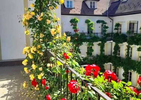 Na prenájom nádherný a štýlový 4-izbový byt, Klariská ulica, ihneď 