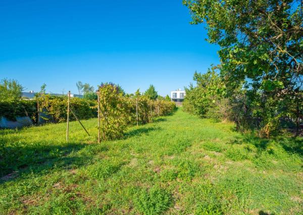 Priestranný rodinný dom s veľkým pozemkom – Bernolákova, Šaľa  