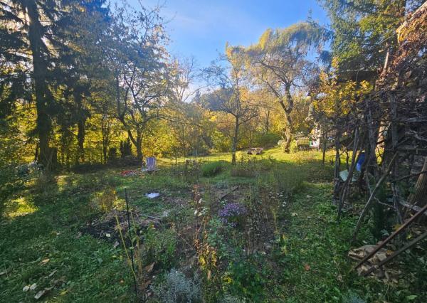 Oddych v srdci prírody - záhrada s chatkou v kúpeľnom meste