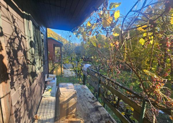 Oddych v srdci prírody - záhrada s chatkou v kúpeľnom meste