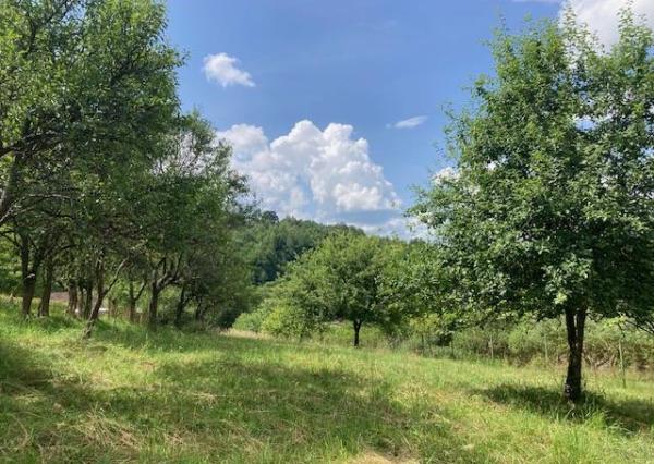 Stavebný Pozemok  Nimnica, 1444 m2 Krásne prostredie!